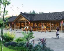 洛陽(yáng)萬安山山頂公園中式木屋效果圖1